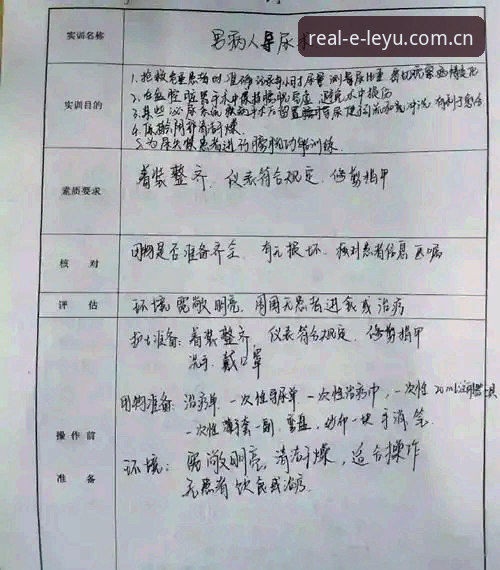 乐语怎么样使用技巧 乐语功能与使用技巧全面评测:真实社交平台的深度体验报告