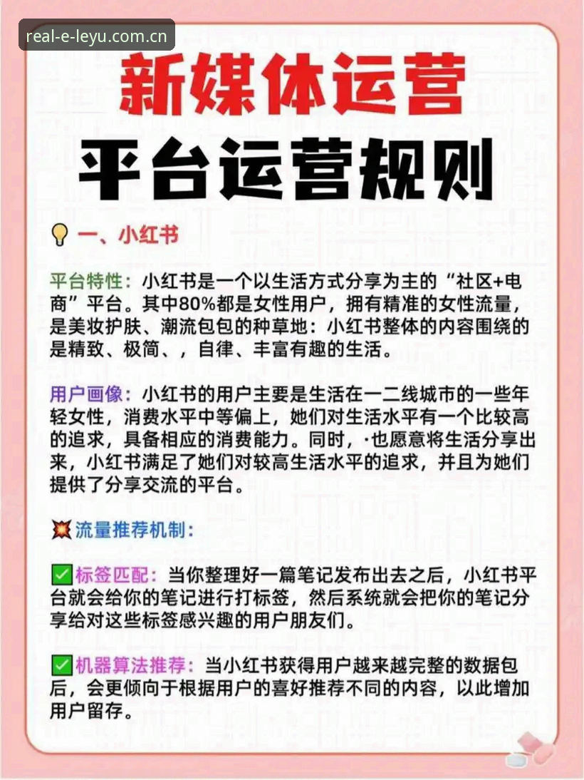 乐语手机版攻略 乐语手机版深度体验:真实社交平台的核心玩法与使用心得